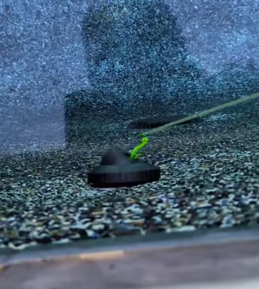 Pool leak detection service in Conroe, Texas, ensuring water conservation with a tight sealed pool.