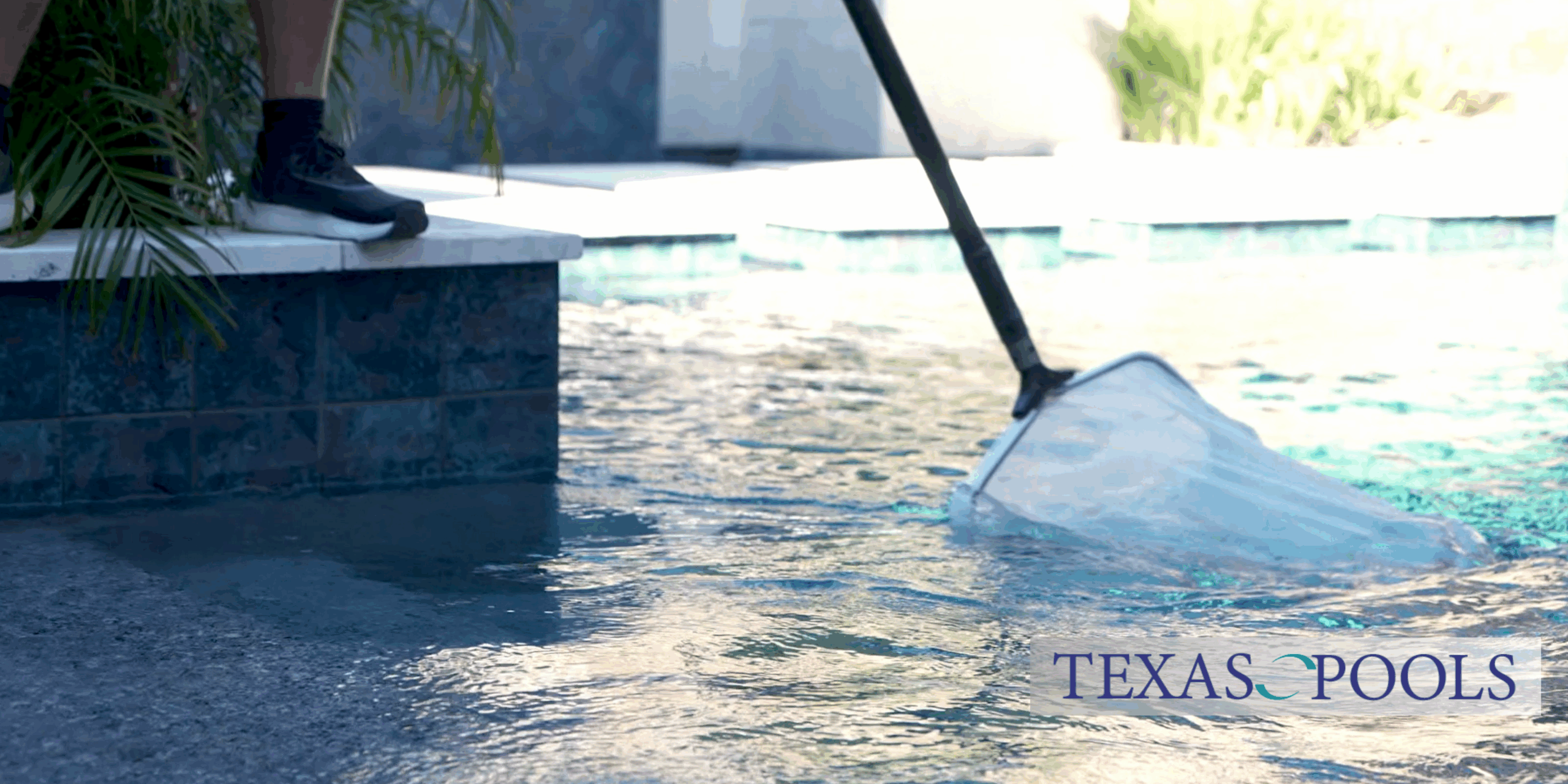 Pristine pool after professional maintenance in River Oaks.